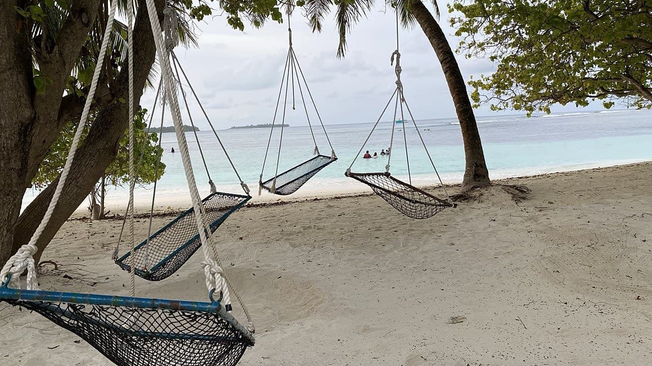 Rope net swing seats hanging from beachside trees over the sand, with the turquoise lagoon behind