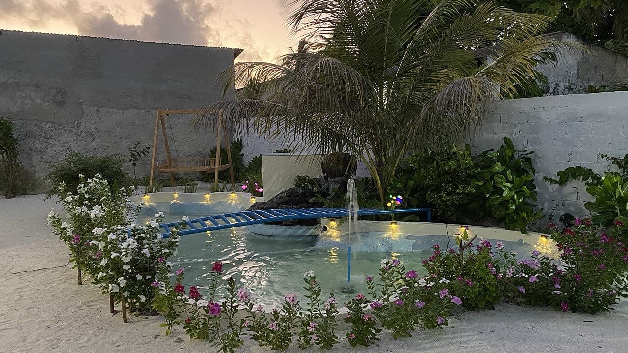 A flower-ringed plunge pool lit at dusk, framed by palms and a small fountain
