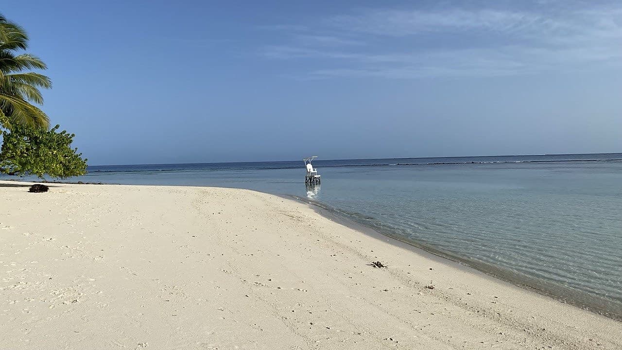 A calm turquoise lagoon meeting a white-sand beach under a clear blue sky, a palm leaning in from the left